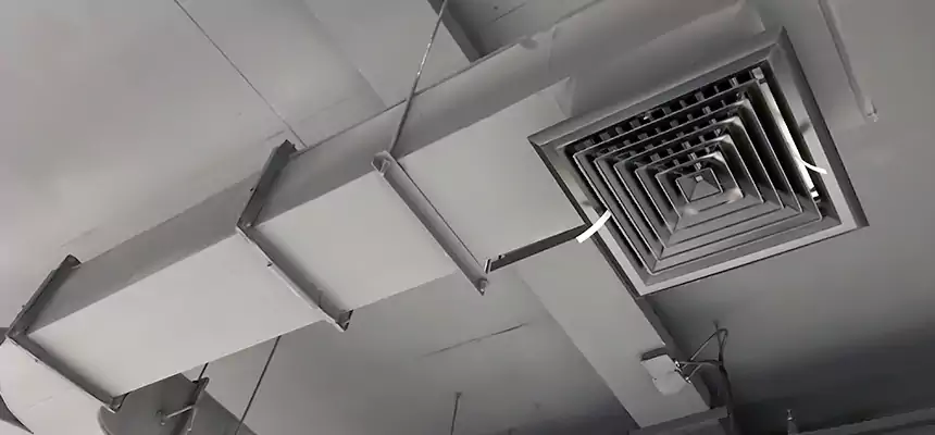 Restorative Allergy Relief Vent Cleaning – Coil, Blower & Housing Detail in Brownsburg