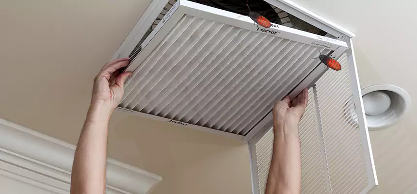 Our Insect Removal from Air Ducts Services in Brownsburg, IN