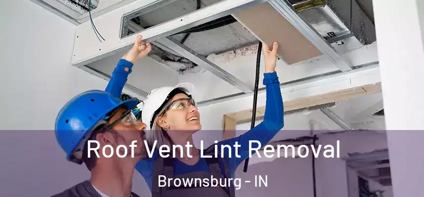  Roof Vent Lint Removal Brownsburg - IN