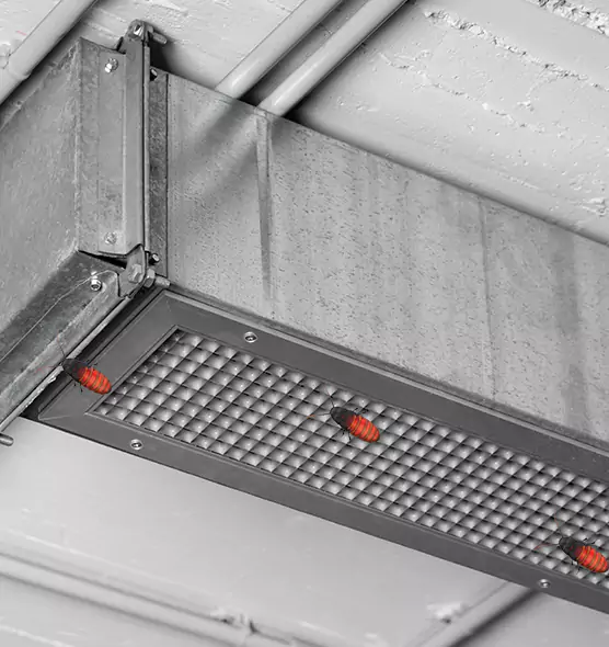 About Air Duct Cockroach Removal in Brownsburg, IN