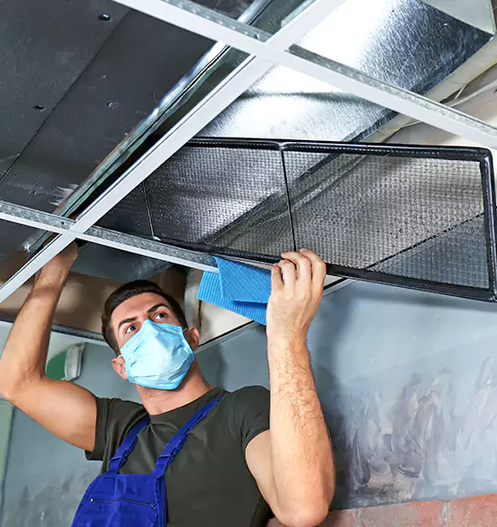 Professional Air Duct Pollen Cleaning in Brownsburg, IN