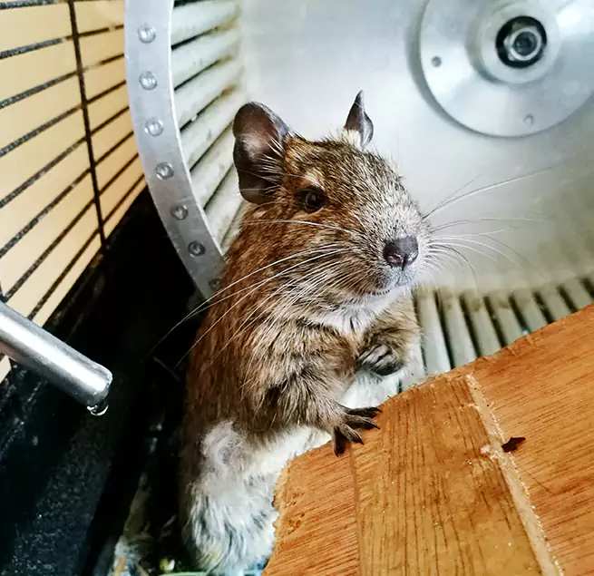 Why Homeowners & Businesses Trust Us Brownsburg, IN